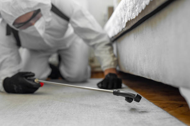 Professional Bed Bug Control technician working in Calhoun County County, IA